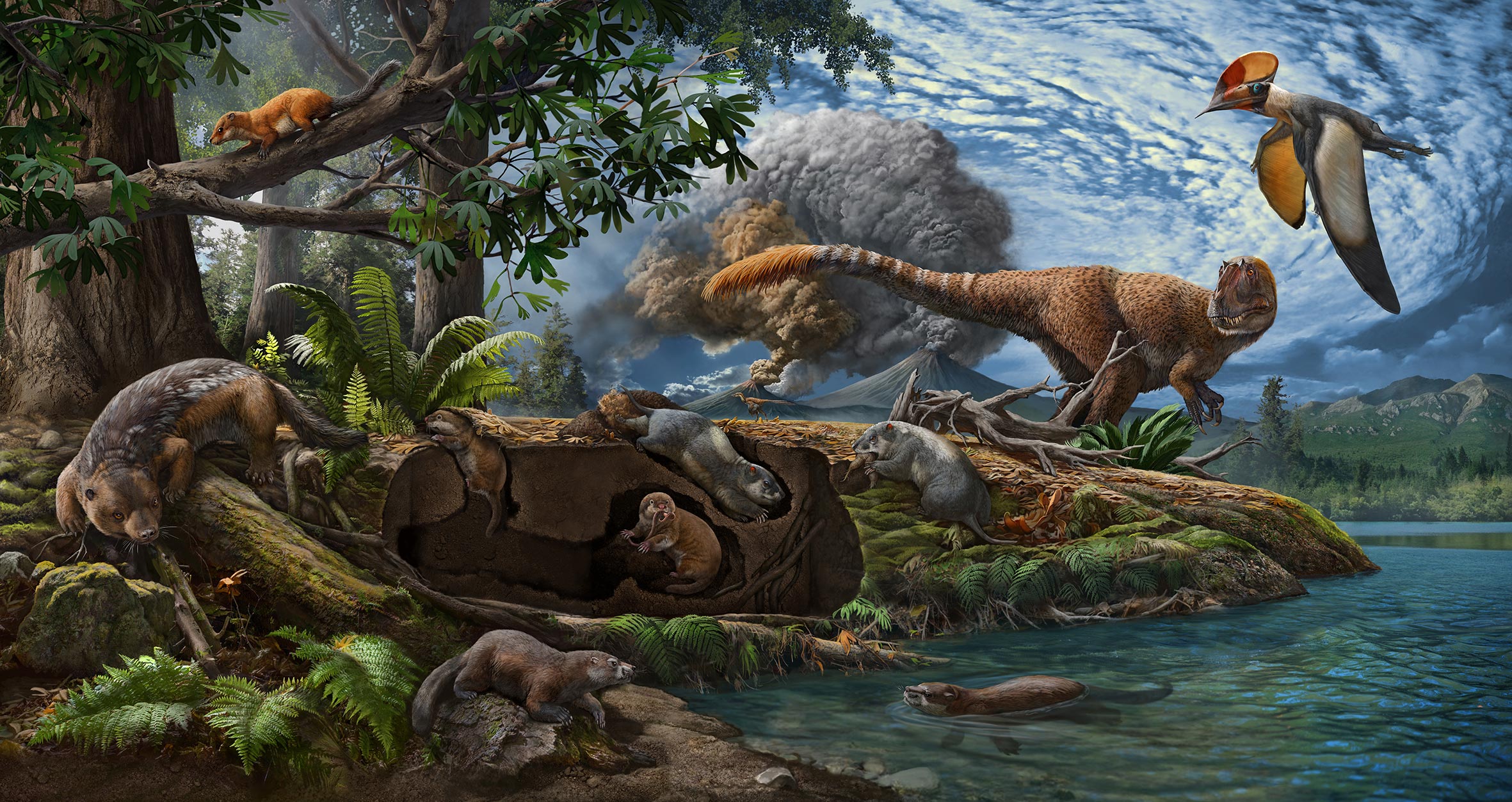 Древние времена динозавров. Чжао Чжуан палеоарт. Юрский период мезозойской эры. Меловой период мезозойской эры. Млекопитающие Юрского периода.