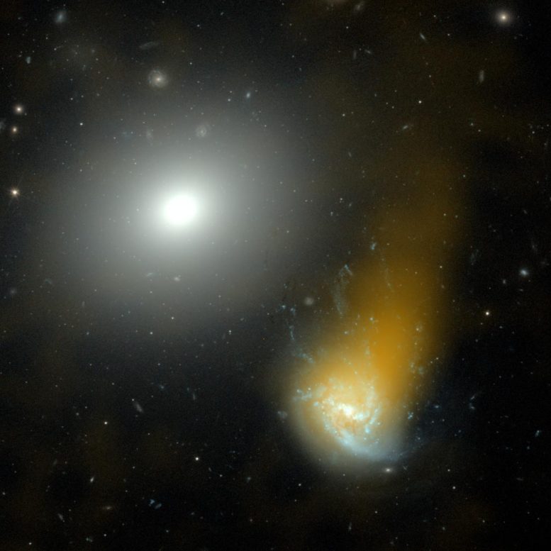 Jellyfish Galaxy NGC 4858