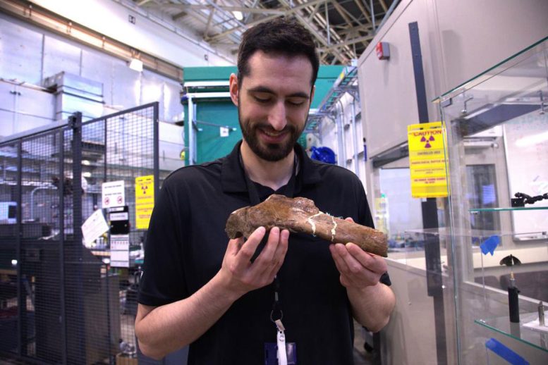 Jerit Mitchell Holding a Fossilized Rib From the Largest T. rex Found
