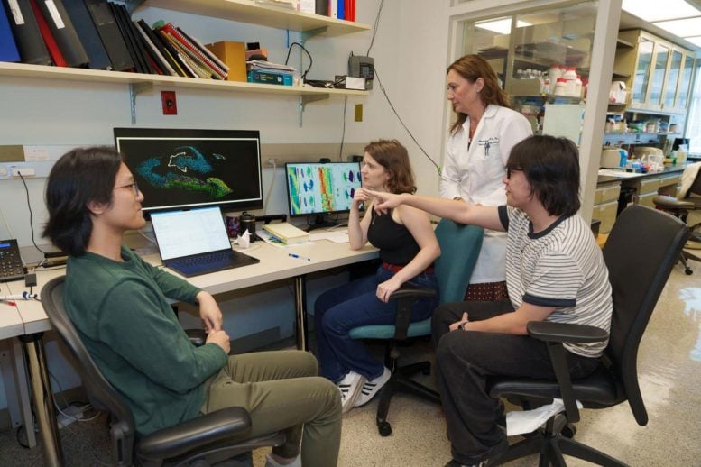 Jialin Jian, Maura Dupont, Giulia Guasoni, and Tiancheng Shi,