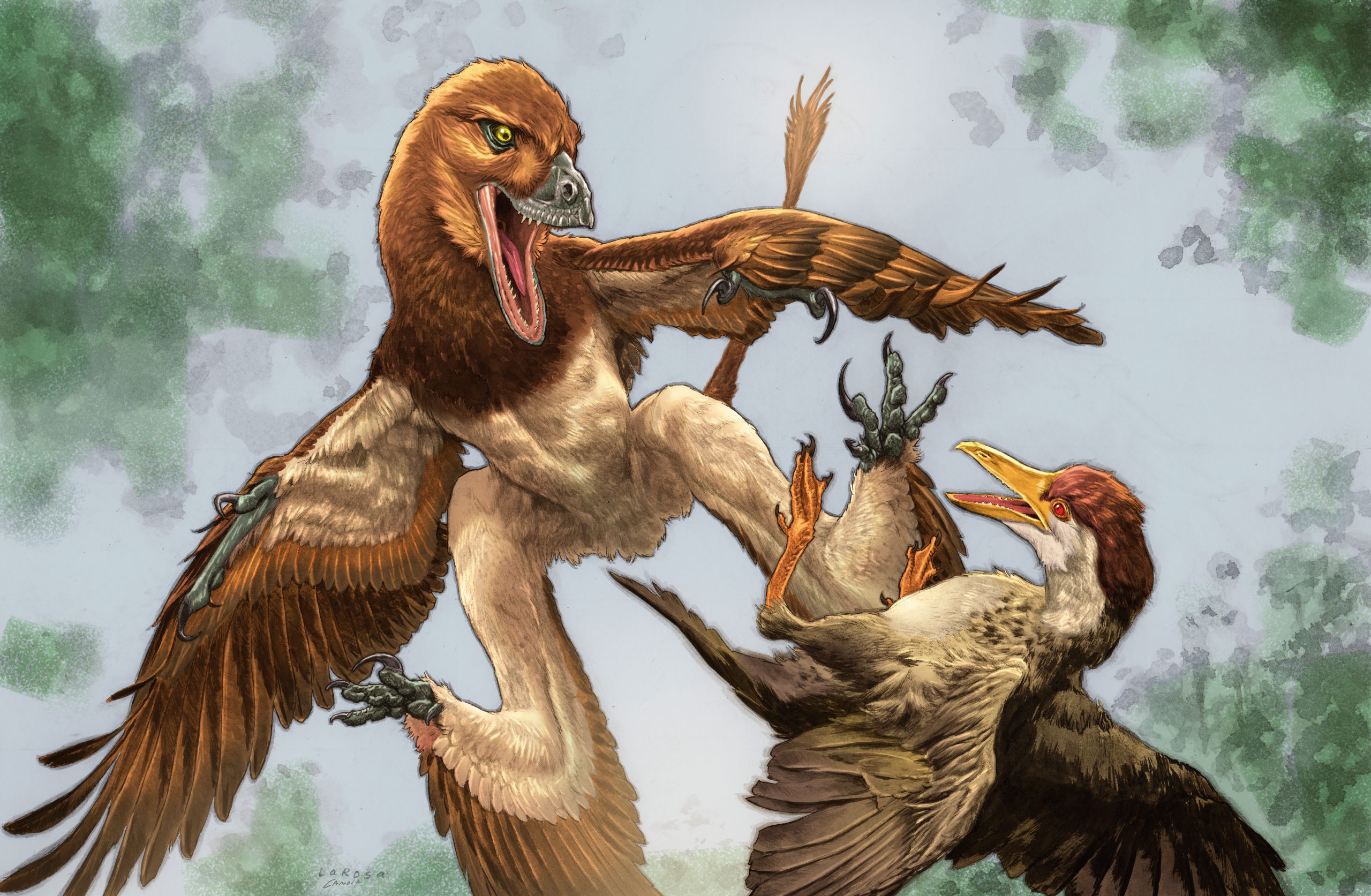 New Feathered Dinosaur May Have Solved a 120-Million-Year-Old Fossil Mystery