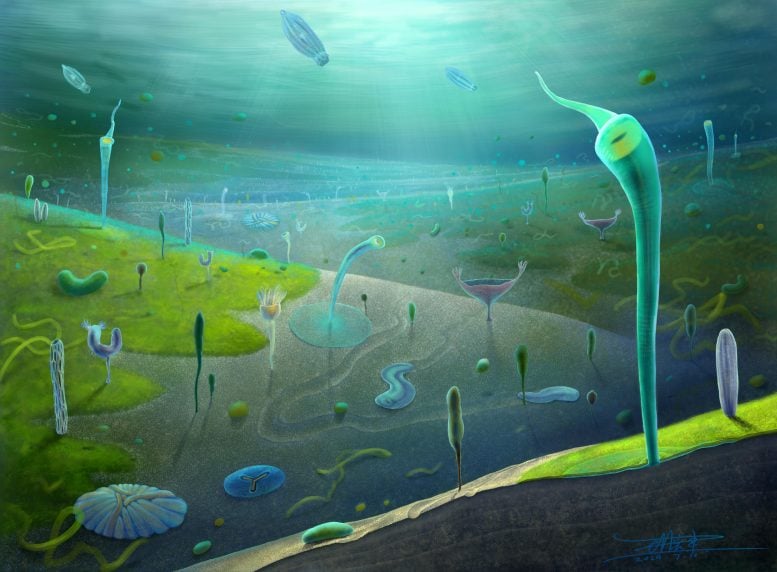 Scientists Just Rewrote the Timeline of Complex Life on Earth