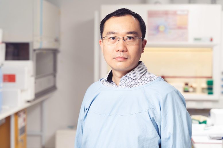 Jianling Xie