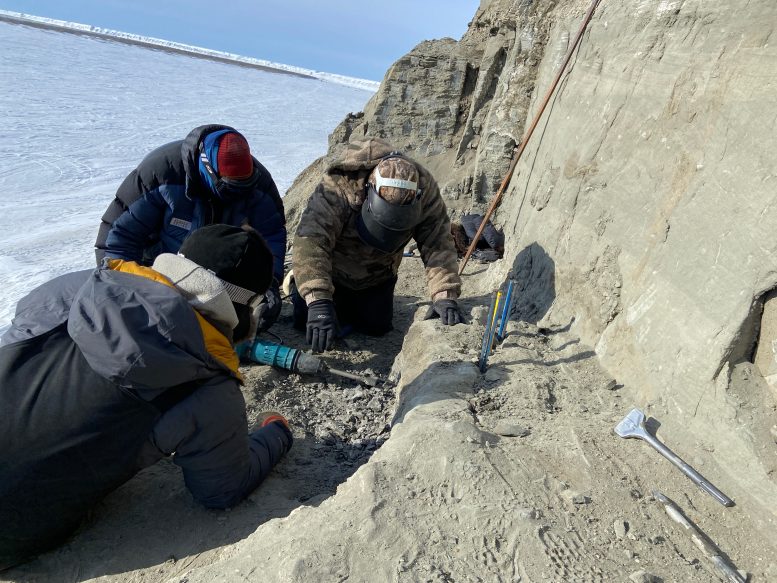 Joe Keeney, Patrick Druckenmiller and Jim Baichtal Excavate at a Site on the Colville River