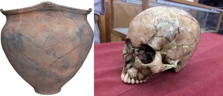 Jomon Pottery and Skull