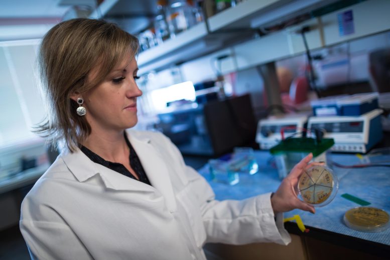 June Round Holds Out a Dish of Microbes Cultured From the Gut
