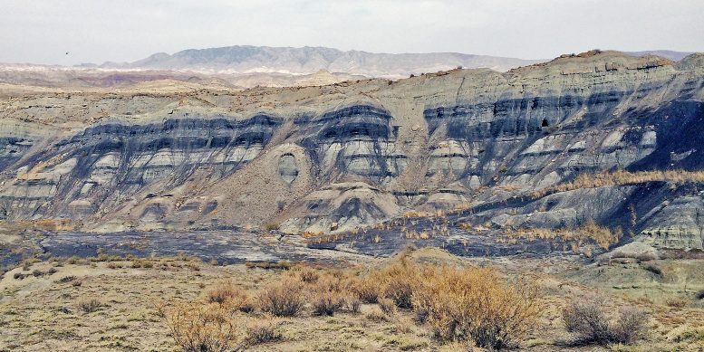Junggar Basin Shale Cliff