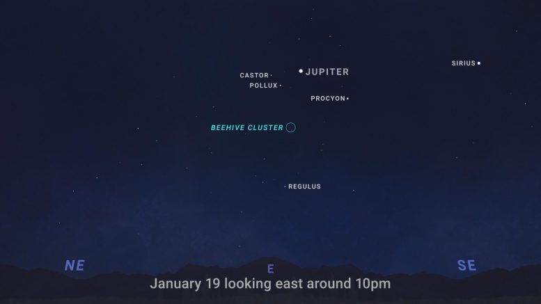 Jupiter January 2026 Sky Chart