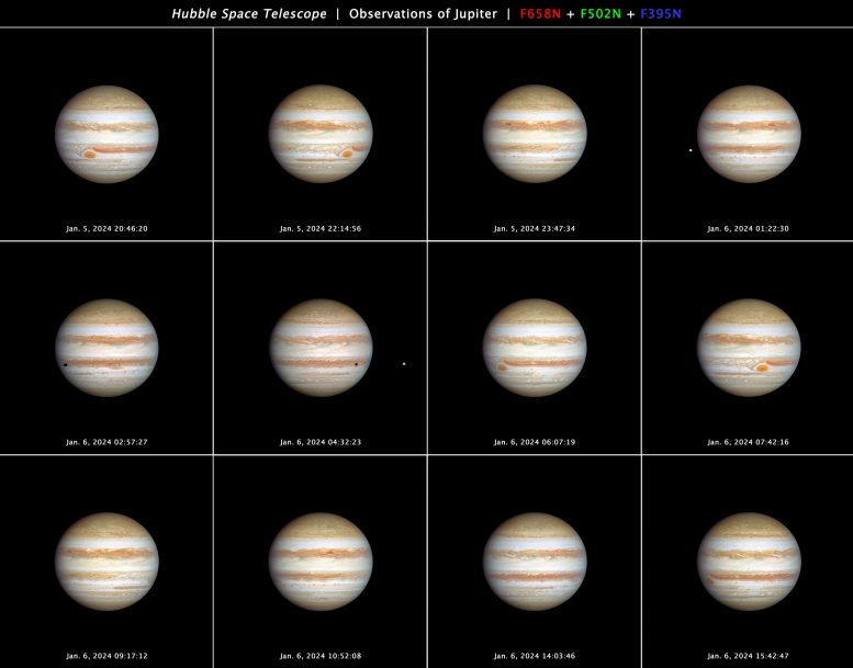 Opala de Júpiter 2024
