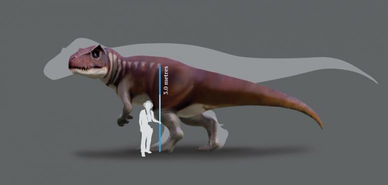Jurassic Dinosaur Track-Maker Reconstruction