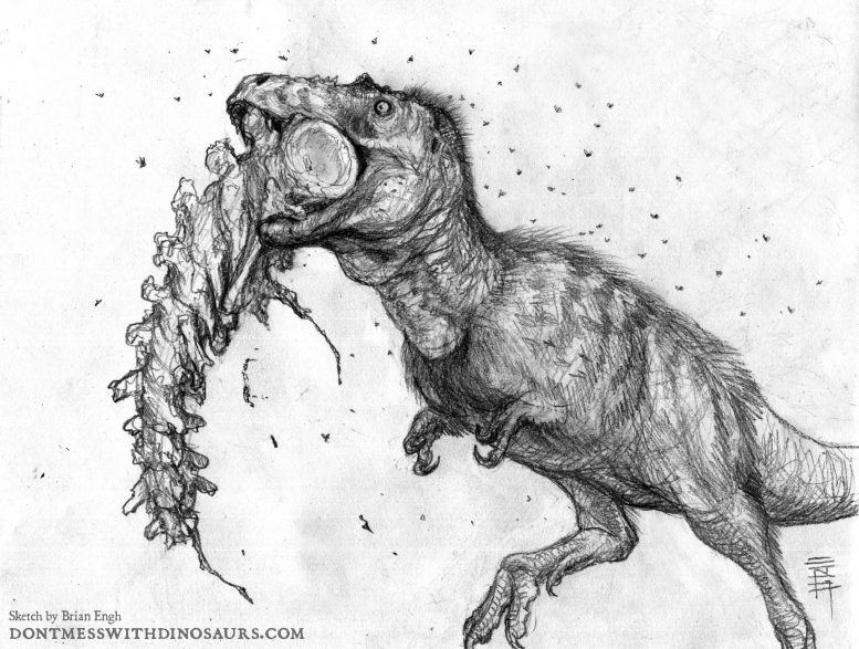 Juvenile T. rex Munching on the Tail of a Dead Edmontosaurus