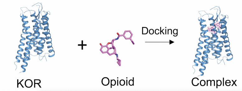 KOR Opioid Docking