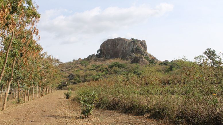 La scoperta di colture antiche di 2.300 anni mette in discussione le visioni moderne sull’agricoltura africana