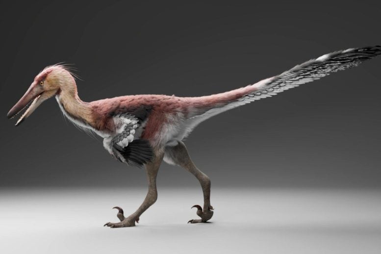 Kank Reconstruction