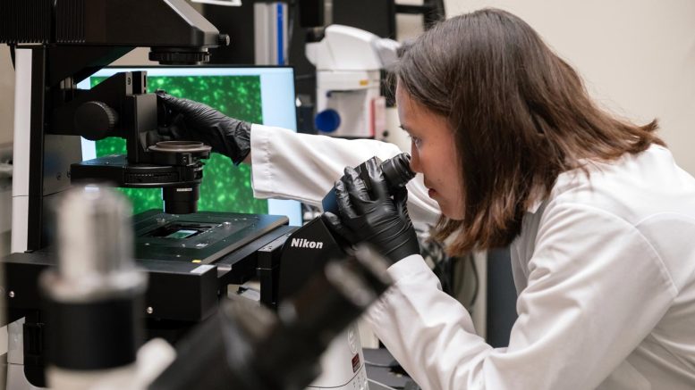 Karen Zhang Inspecting Microscope