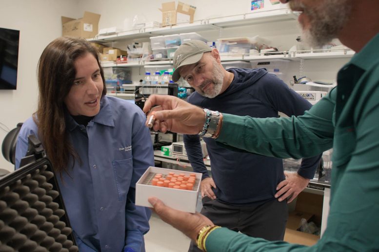 Katherine Solari and Dmitri Petrov Inspecting DNA Samples