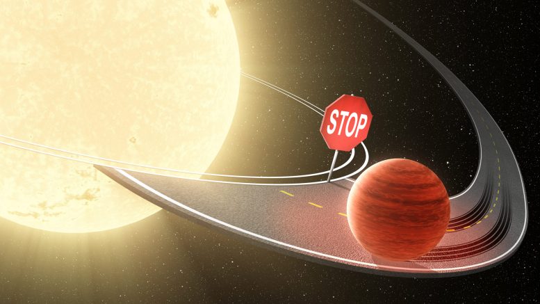 Kepler Data Shows That Hot Jupiters Are Not Regularly Consumed by Their Stars