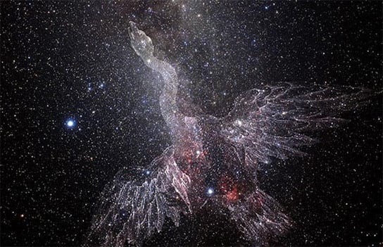 Kepler View of the Constellation Cygnus the Swan