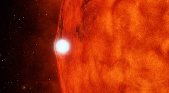 Kepler Views the Effects of a Dead Star Bending Light