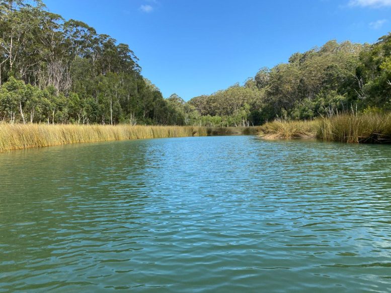 K'gari's Deepwater Lake