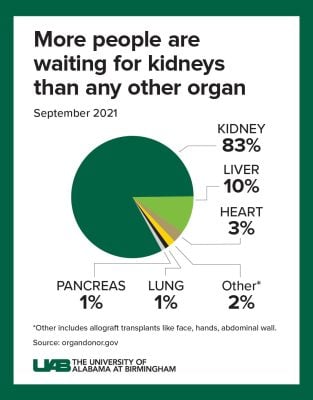 Kidney Wait List Organs Needed Piechart