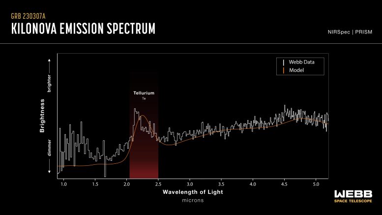 Kilonova Emission Spectrum