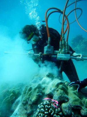 Kim Cobb Drills Into Corals