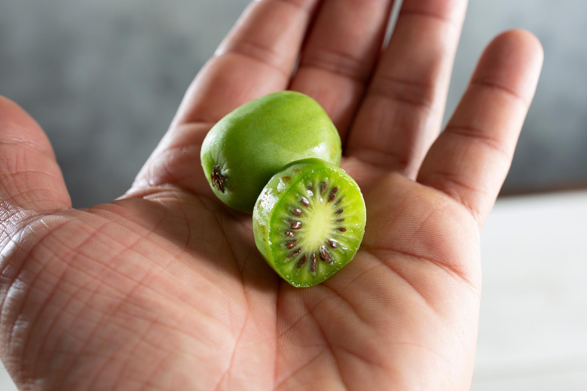 This Little-Known Japanese Fruit Could Help Stop Lung Cancer Before It Starts - SciTechDaily
