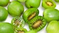 Kiwi Berry (Actinidia arguta)