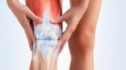 Knee Pain Leg Muscles
