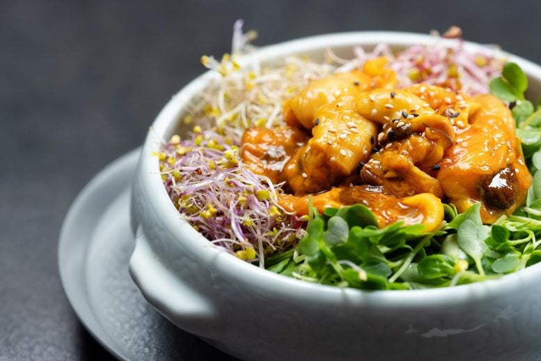 Korean Food Bibimbap With Vegetables and Sea Squirt