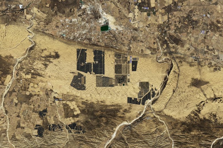Kubuqi Desert 2024