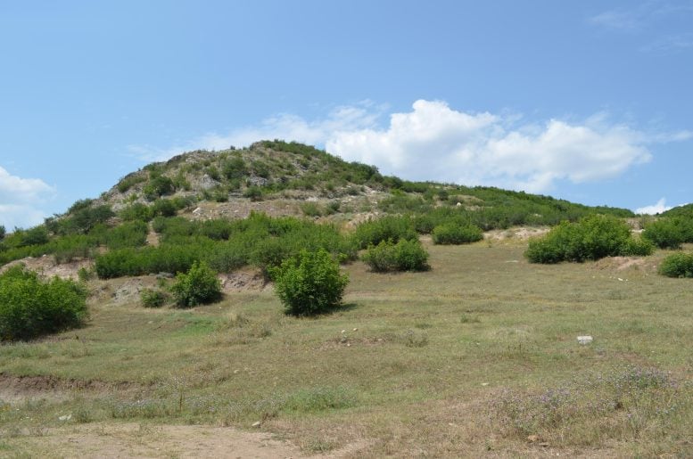 Kvemo Bolnisi Hillside