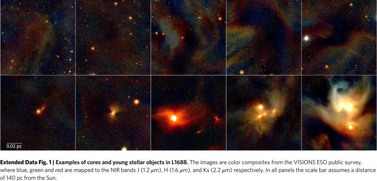 L1688 Star Forming Stellar Cluster