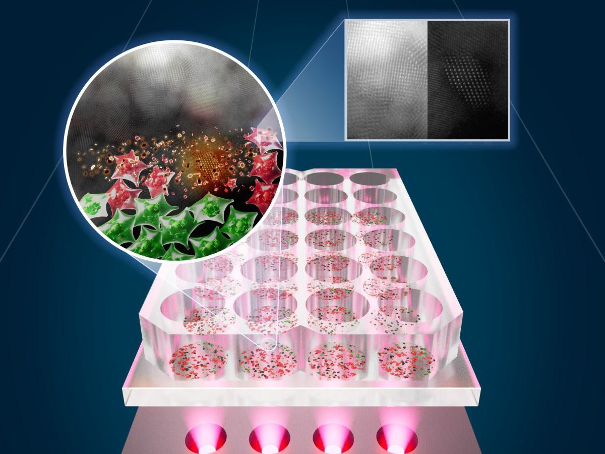New Light-Based Therapy Kills 92% of Skin Cancer Cells Without Harming Healthy Tissue