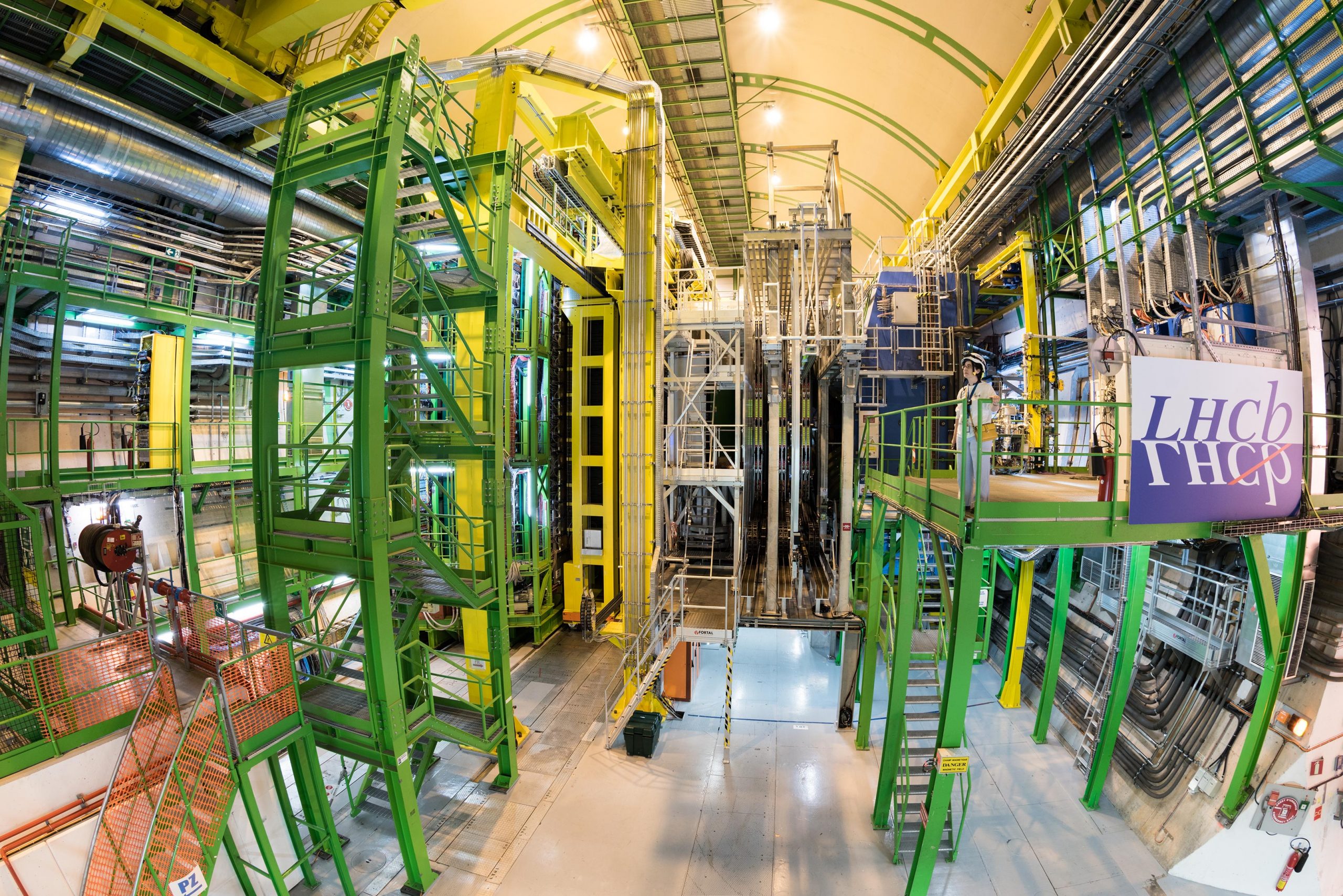 New Force of Nature? Tantalizing Evidence for New Physics From CERNs Large Hadron Collider