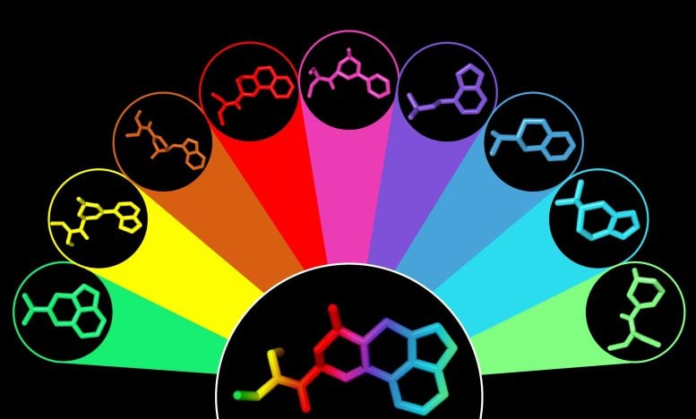 LSD Chemical Analogues Illustration