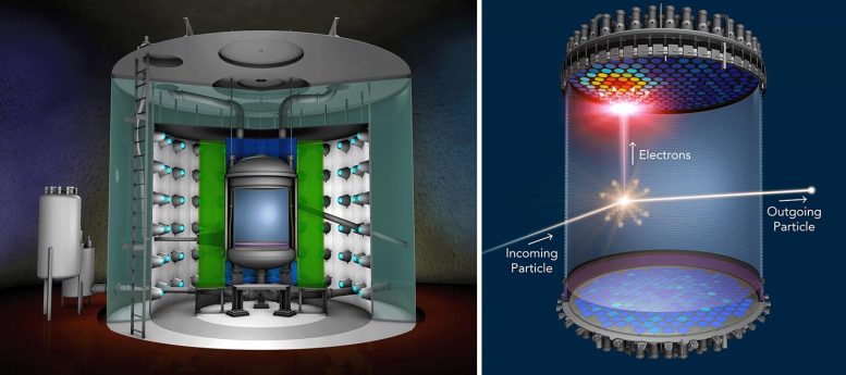 LUX-ZEPLIN Dark Matter Detector Illustration