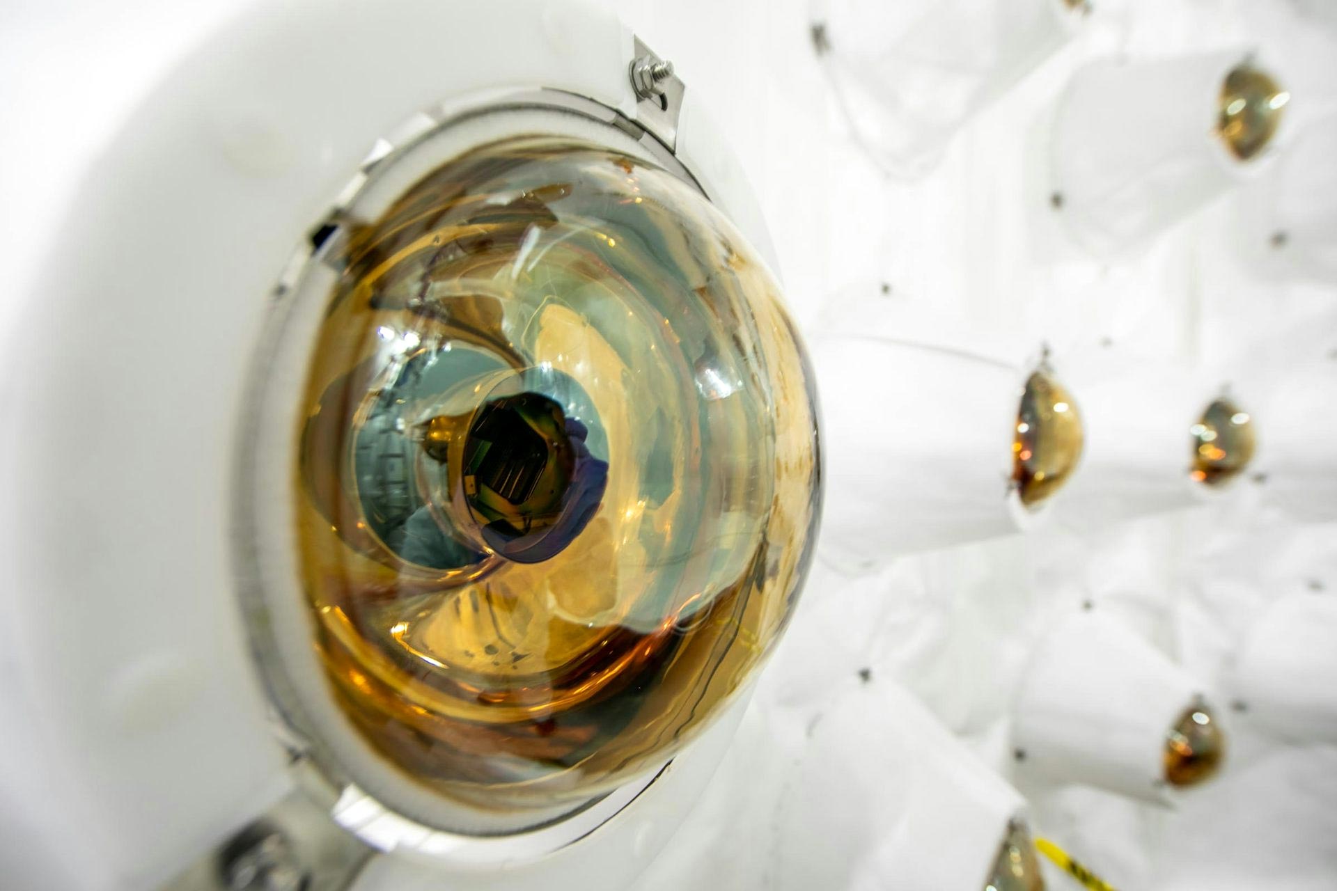 小物  economics experiment LZ experiment - Wikipedia