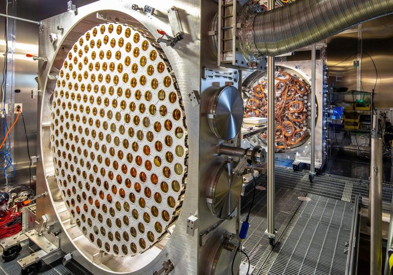 LUX-ZEPLIN Photomultiplier Tubes