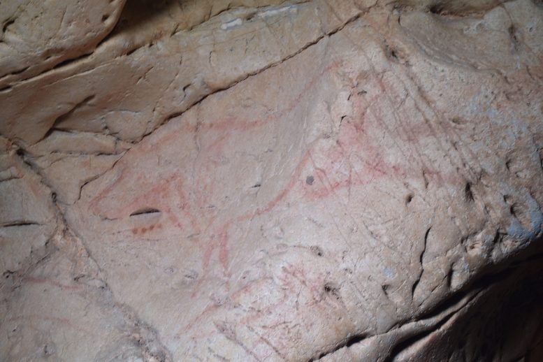 pintura paleolítica de um auroque da caverna de La Pasiega