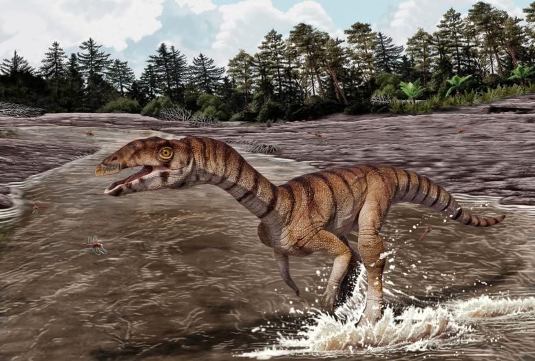 Labrujasuchus expectatus Reconstruction