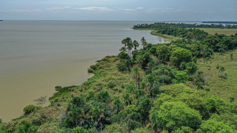 Lake Ginebra a Panoramic View