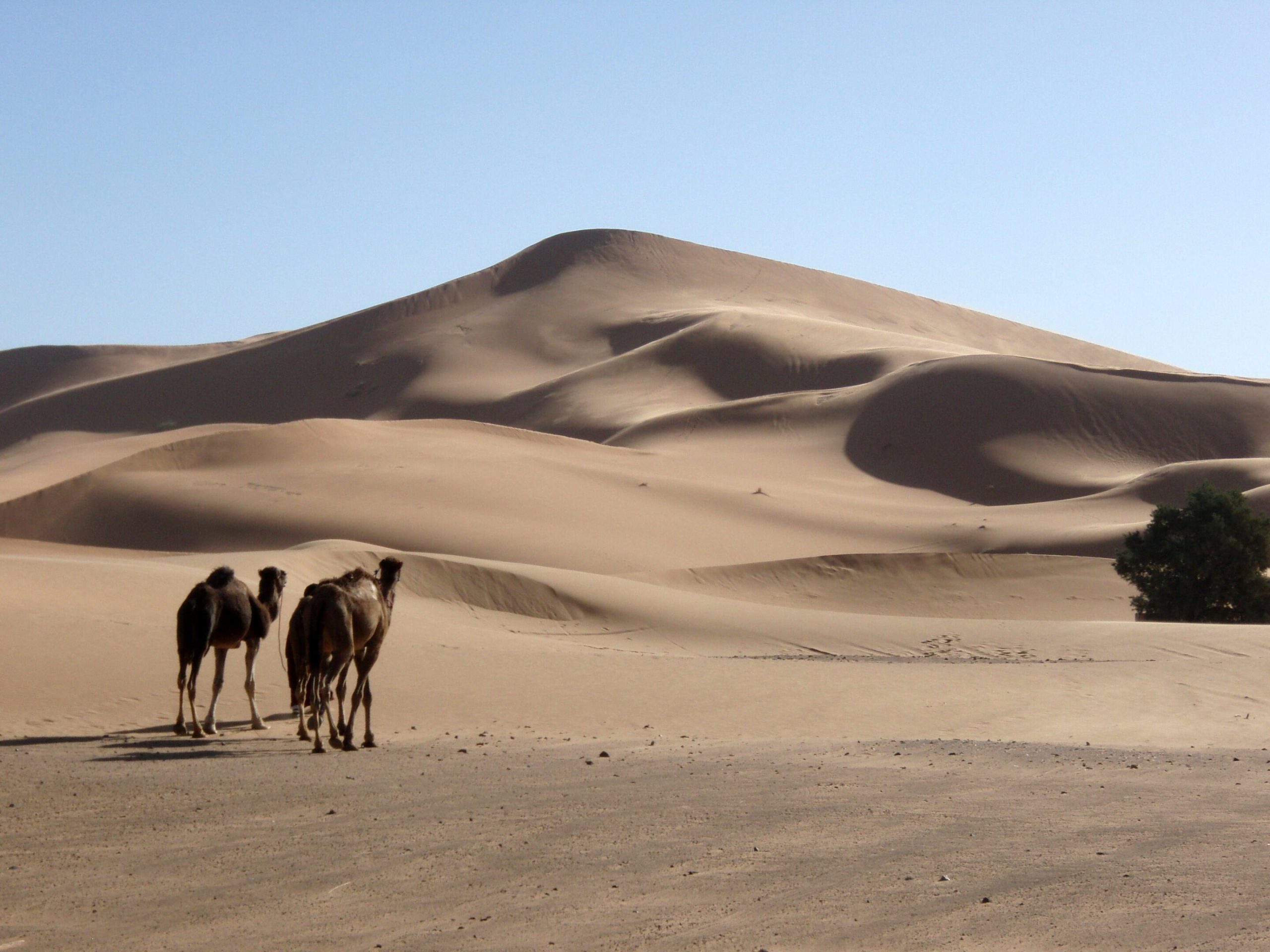 Penemuan bukit pasir kuno mengungkap misteri berusia 13.000 tahun