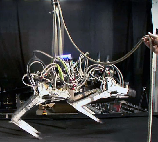 Land Speed Record for Legged Robots