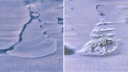 Landsat 8 Images Southern Amery Ice Shelf