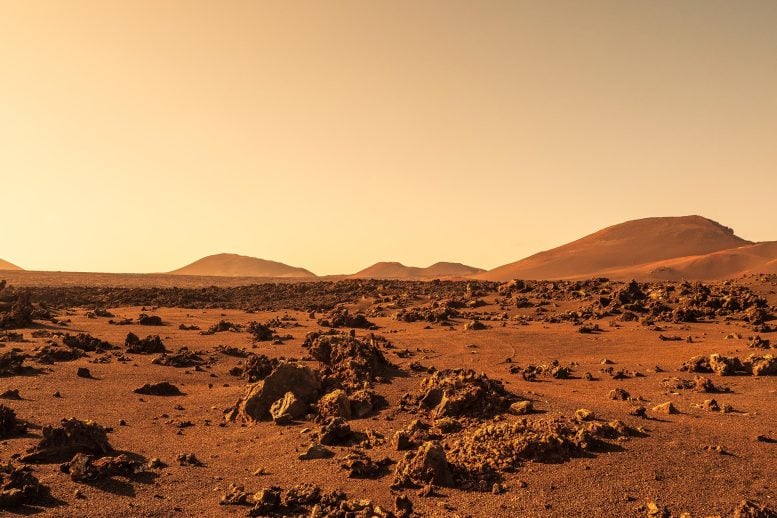 This Common Organism Could Survive on Mars