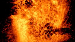 Large Magellanic Cloud Atomic Hydrogen Gas
