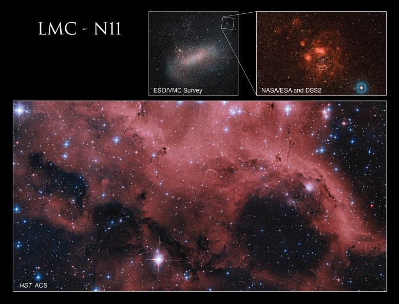 Large Magellanic Cloud LMC N11