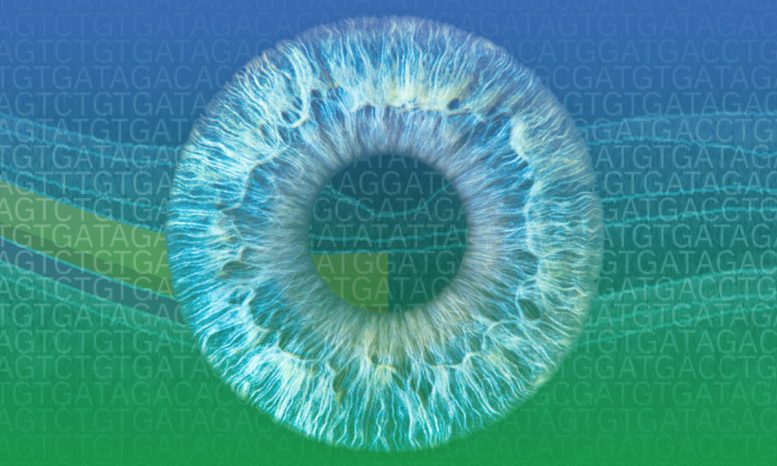 Large Scale Data Enables New Insights Into Rare Eye Disorders
